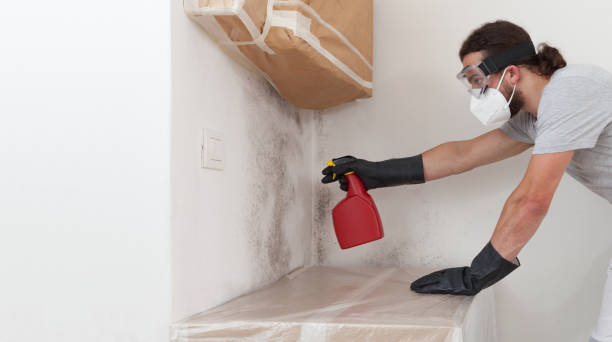 Professional Mold Remediation technician working in Lewisville, NC