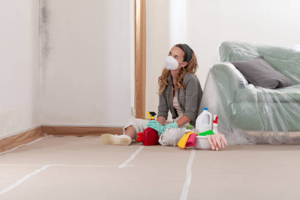 Reliable Mold Remediation contractor in Lewisville, NC by Mold Remediation HQ